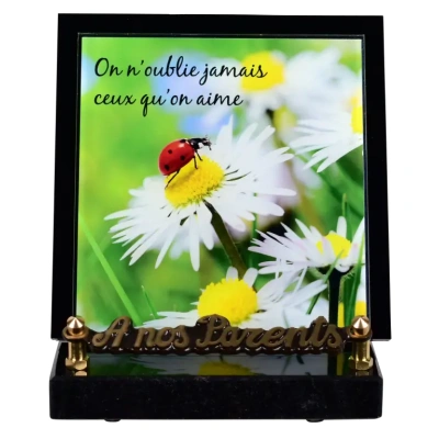 Coccinnelle