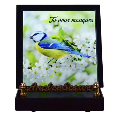 Mésange