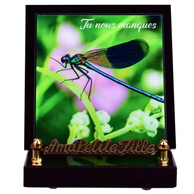 Libellule