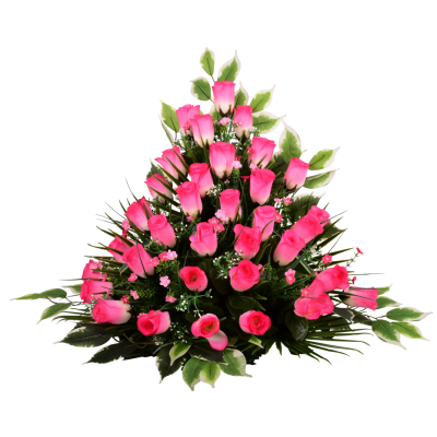 Monte-Carlo : Rose bt Fleurette