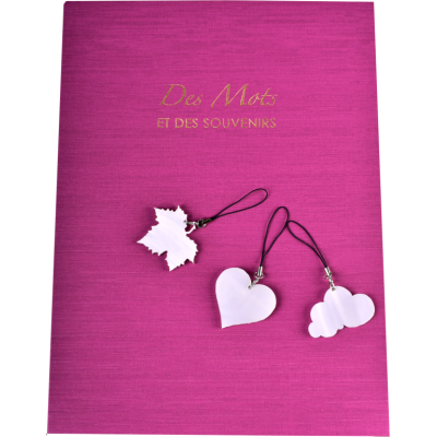 Kit de 21 pampilles