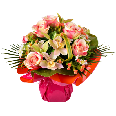 Cymbidium Statice Rose