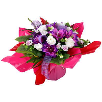 Lotus Rose Fleurette