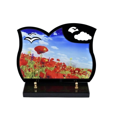 Les coquelicots Black Photo