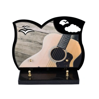 La guitare Black Photo