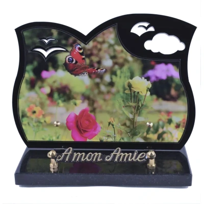 Papillon fleurs des champs Black Photo