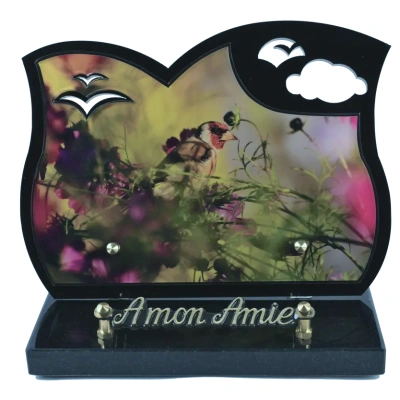 Oiseau fleurs des champs Black Photo
