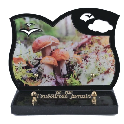 Champignons Black Photo