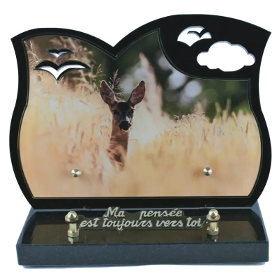 Biche  Black Photo