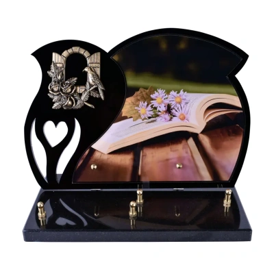 Livre ouvert paquerette Black Photo