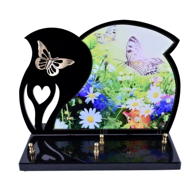Papillon fleurs des champs Black Photo