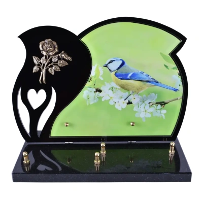 Oiseau bleu et jaune sur branche fleurie Black Photo