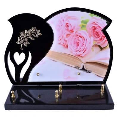 Livre ouvert roses épanouies Black Photo