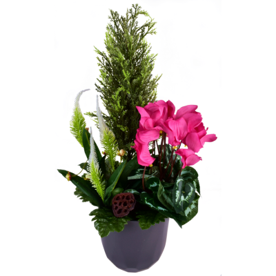 Coupe Quartz Cyclamen Véronique
