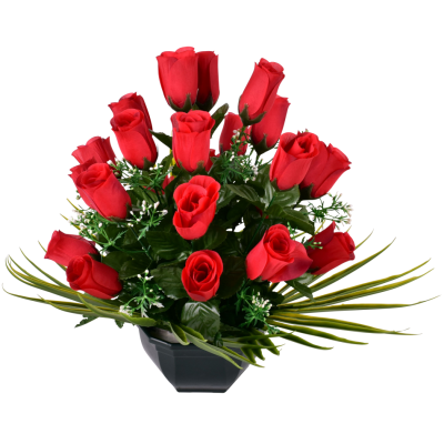 Bouton de Rose Gypso