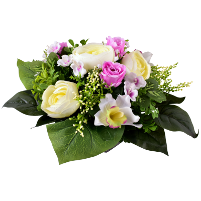 Renoncule  Rose Orchidée