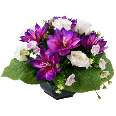 Lotus Rose Bouton Fleurette