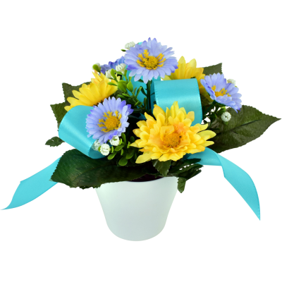Daisy Hortensia