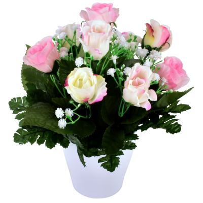 Mini Rose Gypso