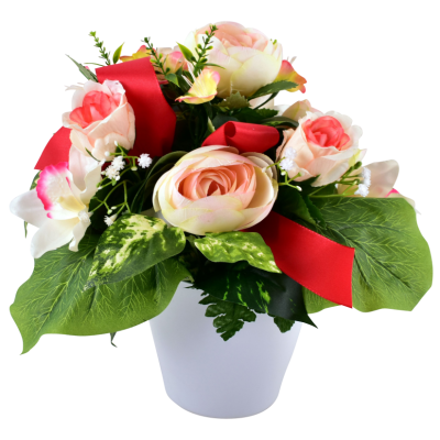 Renoncule Rose Orchidée