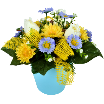 Rose Daisy Fleurette