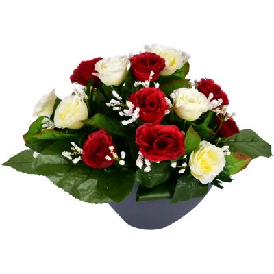 Mini Rose Gypso