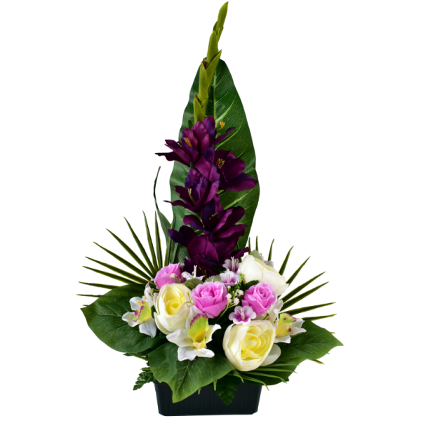 Renoncule Rose Orchidée