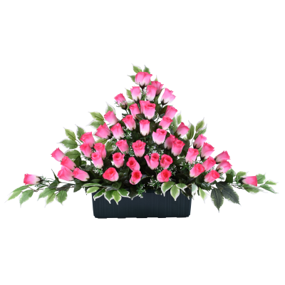 Bouton de rose Gypso