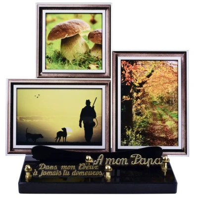 Cadre photos paysage: Chasse et champignon