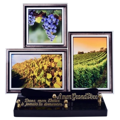 Cadre photos paysage: La vigne
