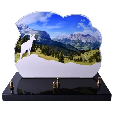 Plaque découpée alpage en été