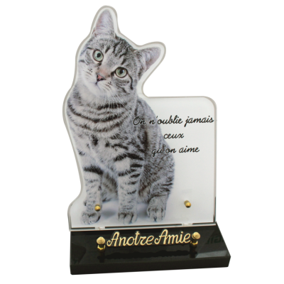 Chat tigré - photo découpée