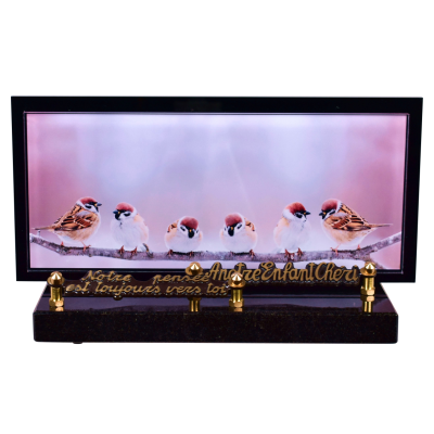 Cadre panoramique décor Oiseaux