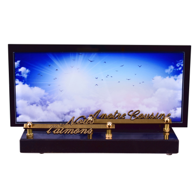 Cadre panoramique décor Ciel et oiseaux