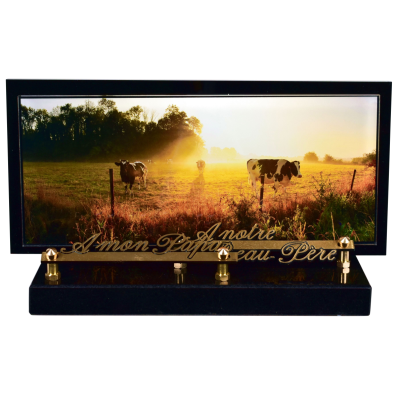 Cadre panoramique décor Vaches
