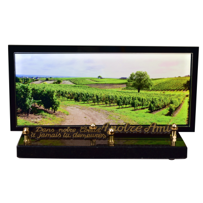 Cadre panoramique décor Vignes