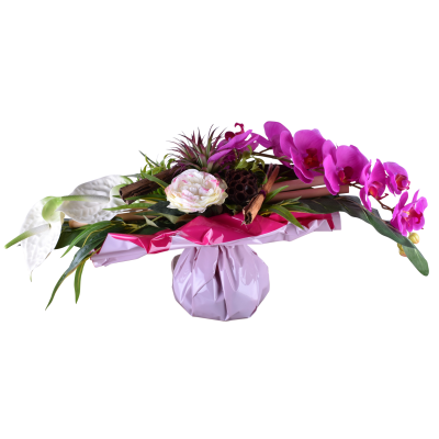 Orchidée Anthurium Pivoine
