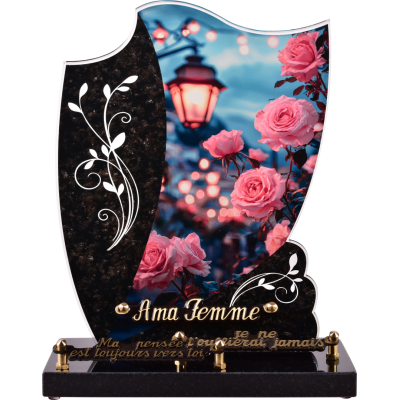 Rose Lanterne