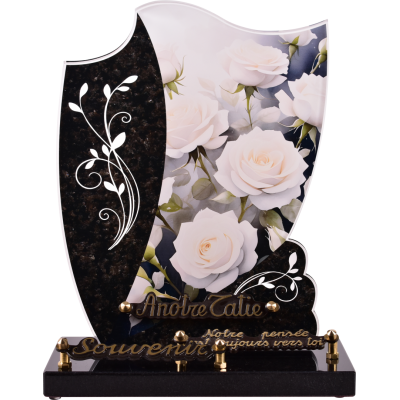 Roses blanches