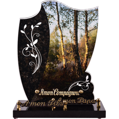 Forêt Bouleaux
