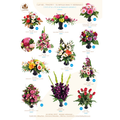 LOT PROMO DE 32 CONES+55€ EN PRODUITS OFFERTS