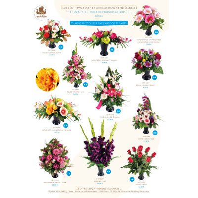 LOT PROMO DE 64 CONES+100€ EN PRODUITS OFFERTS