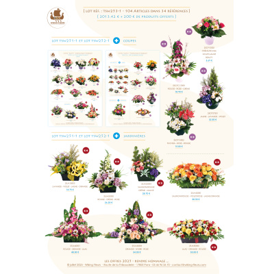 LOT PROMO DE 100 ARTICLES +200€ EN PRODUITS OFFERTS