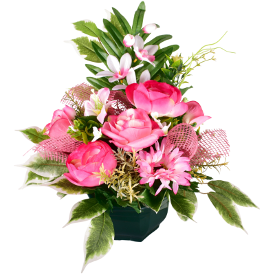 ROSE BOUTON ORCHIDEE