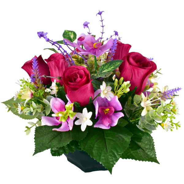 ROSE ORCHIDEE