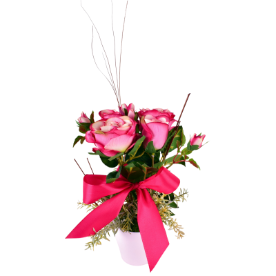 MARINA : ROSIER