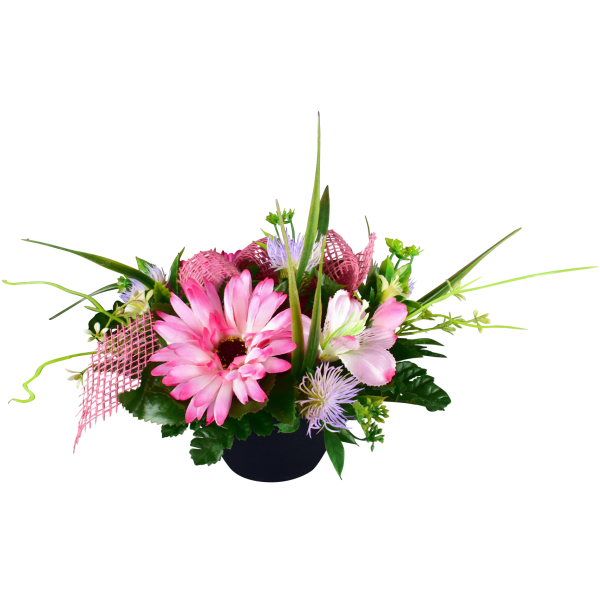 GERBERA ALSTRO