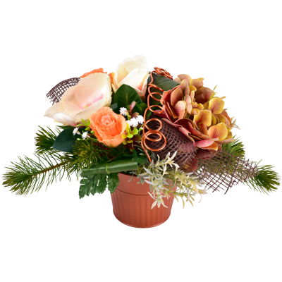 IRMA : ROSE MAGNOLIA