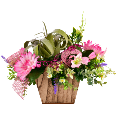 ORNELA : GERBERA ALSTRO