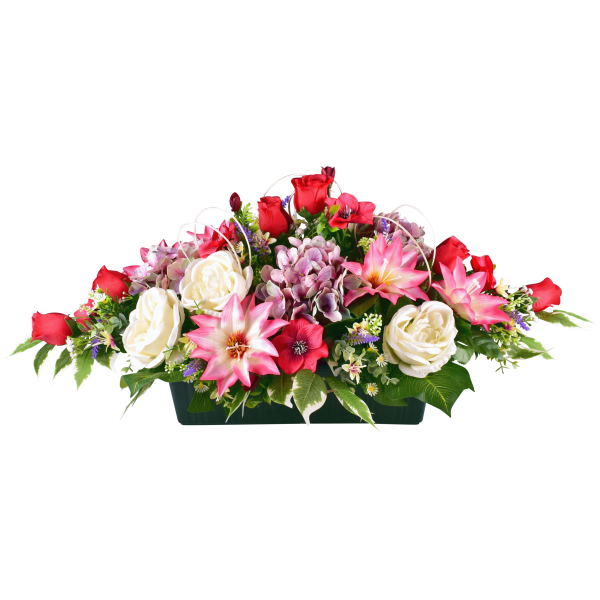 ROSE BOUTON DAHLIA